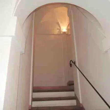 Bellavita Center Apartamento Bolonia